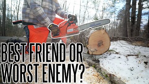 Cutting Up A Downed Tree For Firewood