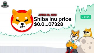 !Shiba Y Dogecoin Fueron Aceptados! Analisis Tecnico Shiba Inu