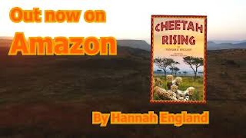 Read Aloud Book For Kids, Cheetah Rising, Elementary Chapter Book, Cheetah Book Kids, Animal Book