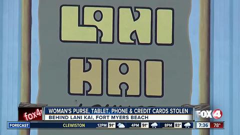 Woman Says Her Purse Was Stolen at Lani Kai