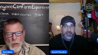 How to start homesteading: a conversation with Redemption Permaculture's Harold Thornbro