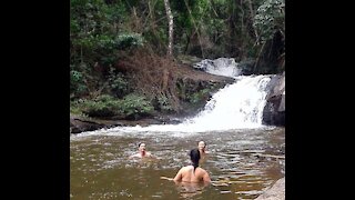 Hike in Doi Inthanon National Park Chiang Mai Thailand Video