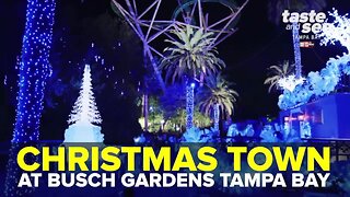 Christmas Town at Busch Gardens Tampa Bay | Taste and See Tampa Bay