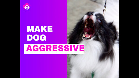 Simple Techniques & Tips To Get Your Dog To Become Fully Aggressive