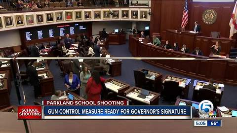 Florida lawmakers sound off on gun legislation