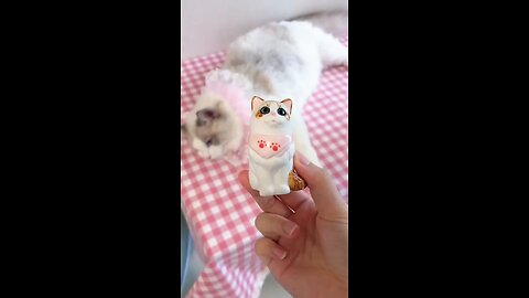 Super Cute Cat Funny Trending Videos Meow #cat #meow #shorts