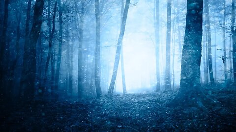 Relaxing Spooky Winter Music - Snowfell Woods ★776 | Dark, Mystery ❄️