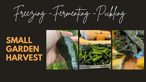 How to Preserve a Small Garden Harvest