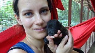 Orphaned baby monkeys fall asleep in keeper's hand