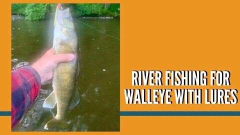 River Fishing For Walleye With Lures / Walleye Lures For Shore Fishing / Michigan Walleye Fishing