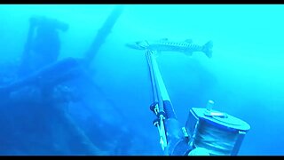 Pesca Sub em Apneia | Aventura em Alto Mar | Muitos Peixes #pescasub #pescasubmarina #spearfishing