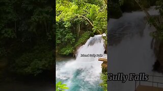 4 Rivers to visit Blue Water in Jamaica #shortsvideo #jamaica #shortsfeed #nature #fy #travel #short