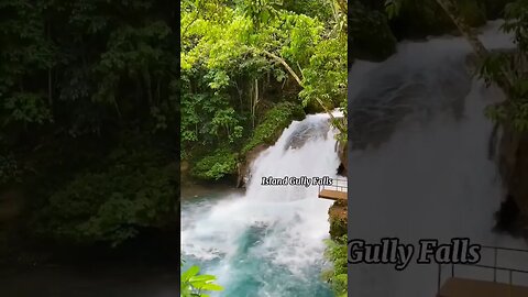 4 Rivers to visit Blue Water in Jamaica #shortsvideo #jamaica #shortsfeed #nature #fy #travel #short