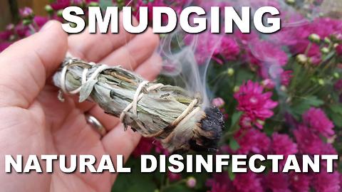 Garden Herbs KILL Superbugs