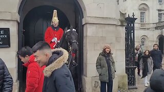 Warning this horse bites #horseguardsparade