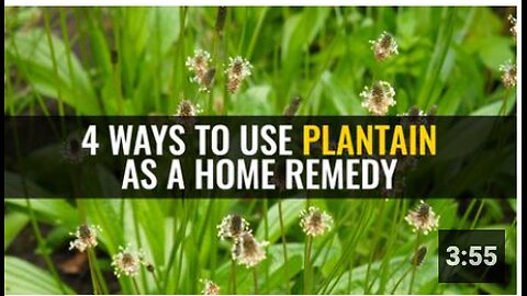 4 Ways to use plantain as a home remedy