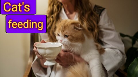 cute cats feeding 😺 | pets | animal | doja cat