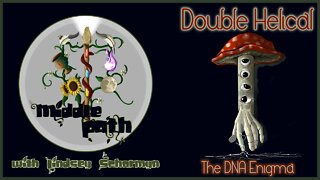 Double Helical - the DNA Enigma