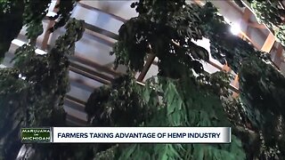 Farmers taking advantage of hemp industry