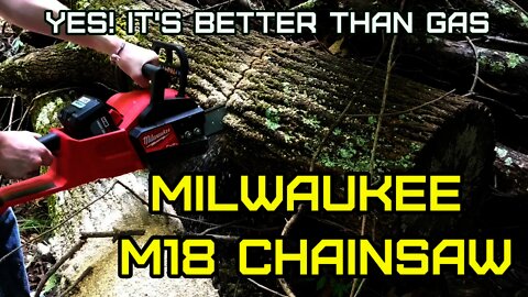 M18 Milwaukee Battery Chainsaw 2727-21HD Test, Review, Hands-on. Better than gas!