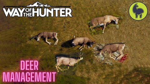 Deer Management, Campstie Tasks | Way of the Hunter (PS5 4K)