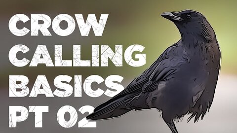 Crow Calling Basics Part 02