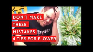 4 Common Mistakes To Avoid In Flower! #commonmistakes #marijuana
