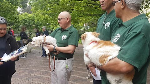 SOUTH AFRICA - Cape Town - Blessing of the Animals service at St George's Cathedral (Video) (wf8)