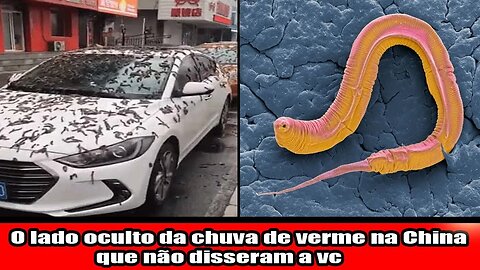 O lado oculto da chuva de verme na China que não disseram a você!