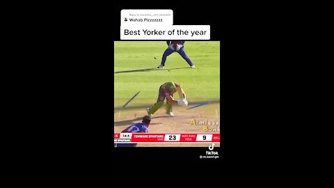 Best highest level yorker in cricket world
