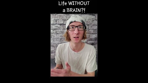 Life WITHOUT a BRAIN?!
