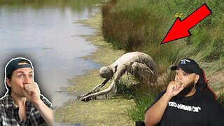 Top 3 IMPOSSIBLE places people were found | Missing 411 | Live Reaction