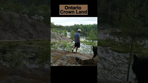 Ontario Hiking Trails Crown Land Adventure! #shorts #hiking