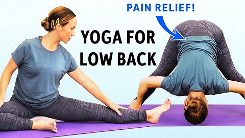 Lower Back Pain Stretch Routine, Pain Relief Yoga Workout Full Back Stretches, Feel Good with Tessa