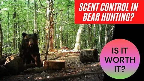 Bear Hunting: Is Scent Control Necessary?