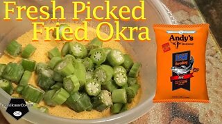 Okra From Harvest To Table