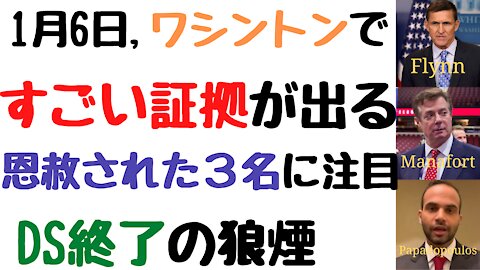 Flynn, Manafort and Papadopoulos...tell something about DS in Washington DC (Audio in Japanese)