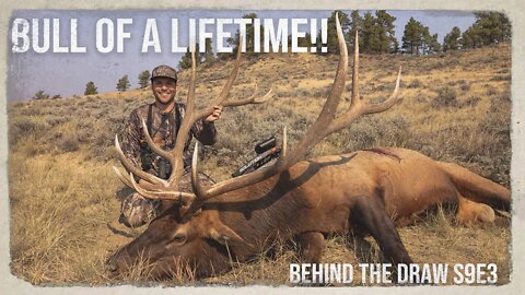 Bull Elk of a LIFETIME... WITH A BOW!!