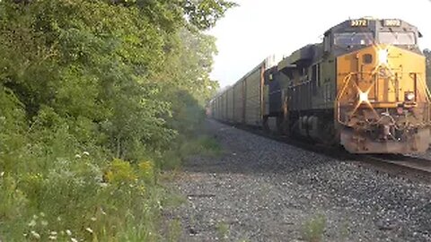 CSX I138 Intermodal Train from Lodi, Ohio August 26, 2023