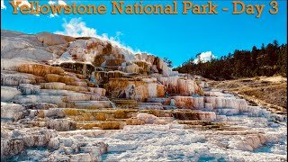 Yellowstone National Park - Day 3