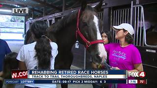 Track to Trail Thoroughbreds rescues and rehabilitates race horses - 7am live report