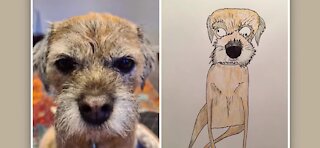 Amateur pet drawings raise thousands for charity