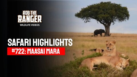 Safari Highlights #722: 07 September 2022 | Lalashe Maasai Mara | Latest Wildlife Sightings