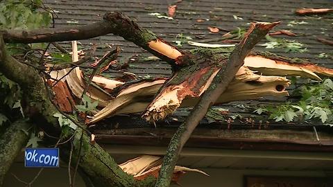 Trees damage houses, cars in Pulaski
