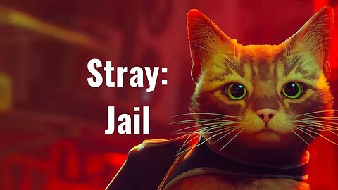 Stray Chapter 11 Jail Stray: A Tale of Captivity and Liberation