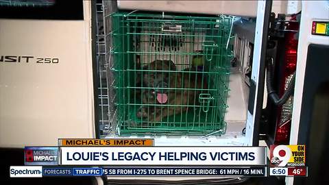 Louie's Legacy needs foster homes to help animal shelters impacted by Michael