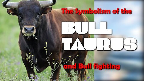 The Symbolism of the Bull, TAURUS, and Bull fighting