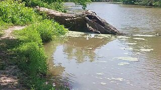 Fort Parker State Park