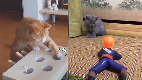 Cat Reaction to Playing Toy - Funny Cat Toy Reaction Compilation Part 1 #Short #Shortvideo