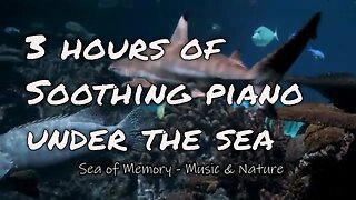 Soothing music with piano and underwater sound for 3 hours, music for sleeping and deep relaxation